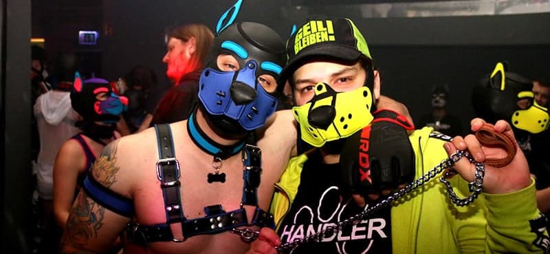 Puppy Events Cologne 2026