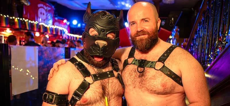 Oink Party Dublin